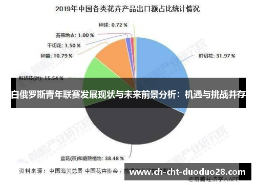 白俄罗斯青年联赛发展现状与未来前景分析：机遇与挑战并存