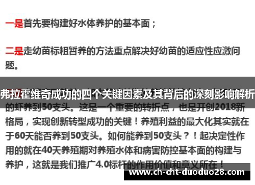 弗拉霍维奇成功的四个关键因素及其背后的深刻影响解析