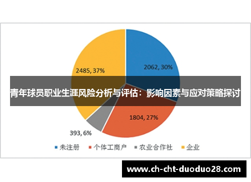 青年球员职业生涯风险分析与评估：影响因素与应对策略探讨